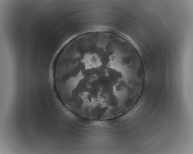 X0000113080835200909041127