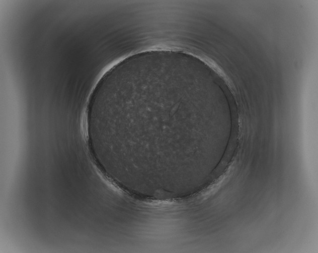 X0000113080838200909041127