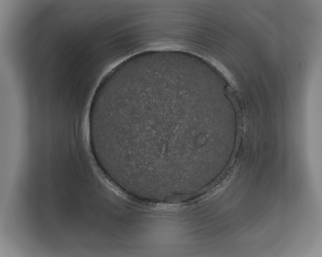 X0000113080840200909041127