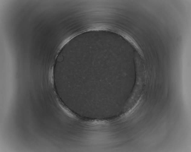 X0000113080842200909041127