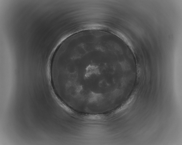 X0000113080843200909041127