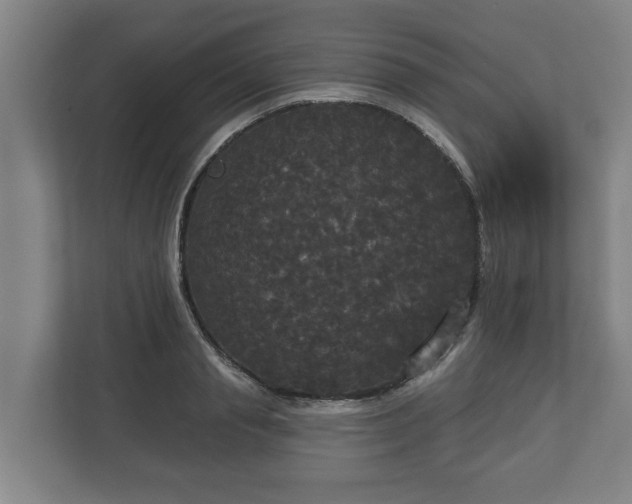 X0000113080845200909041127