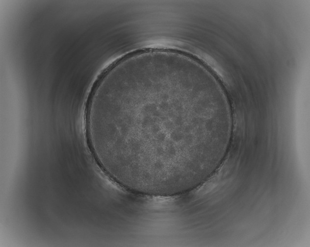 X0000113080848200909041127