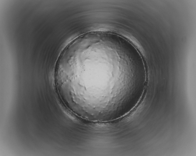 X0000113080850200909041127