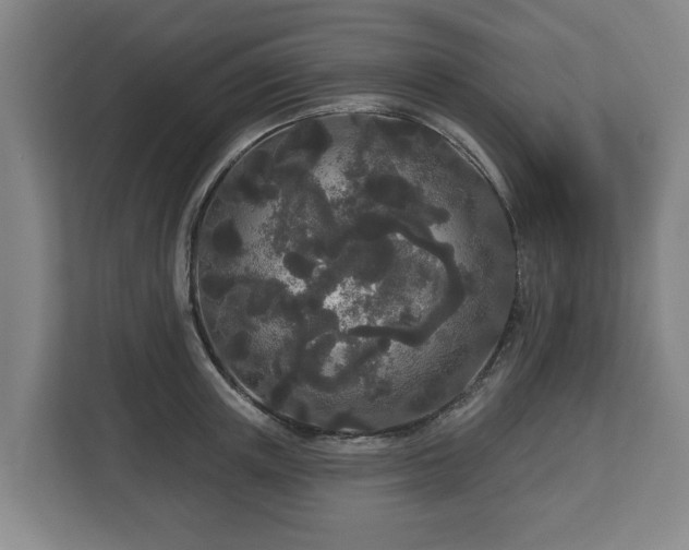 X0000113080851200909041127