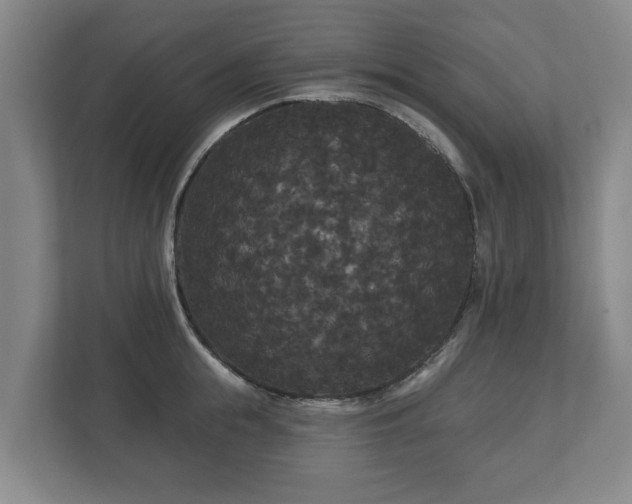 X0000113080855200909041127