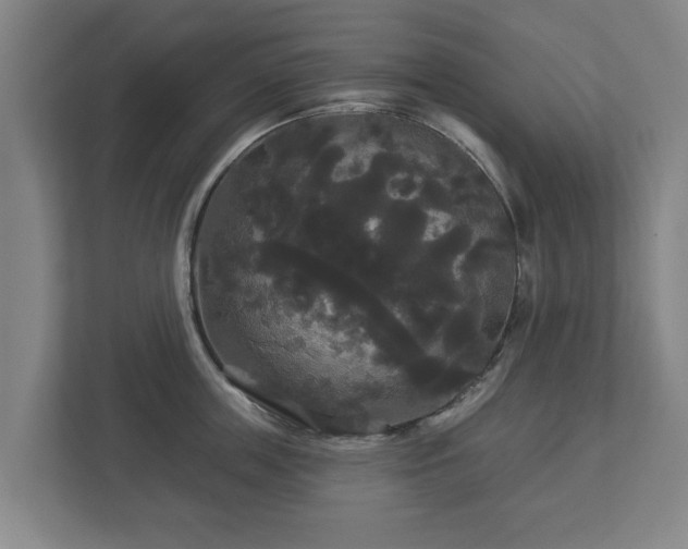 X0000113080859200909041127