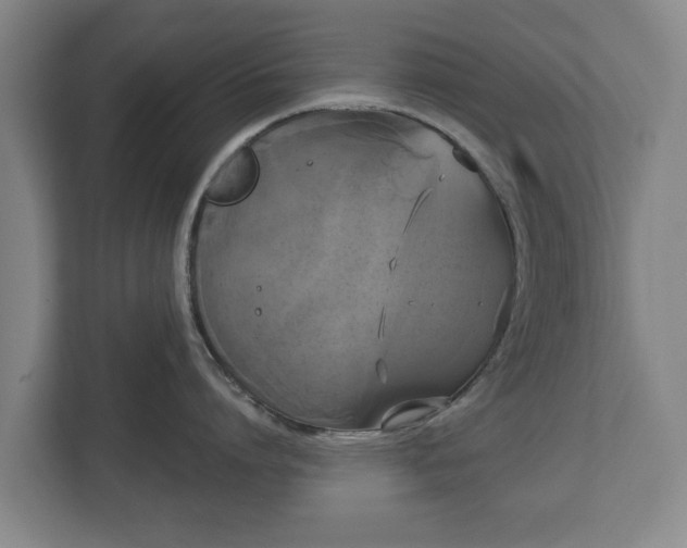 X0000113080864200909041127