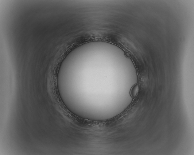 X0000113080865200909041127