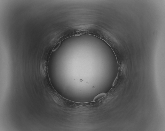 X0000113080868200909041127