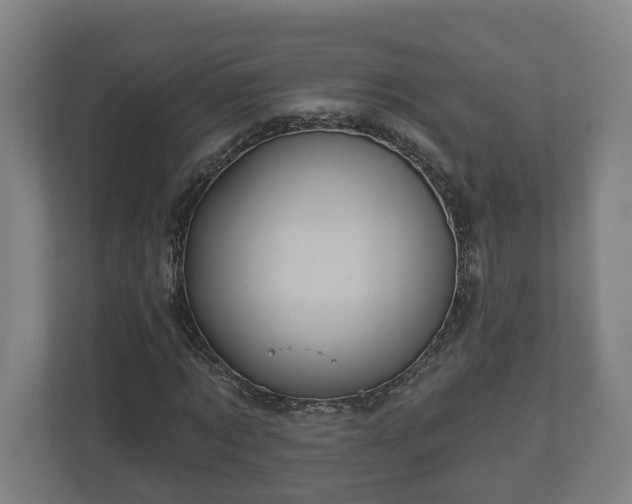 X0000113080869200909041127