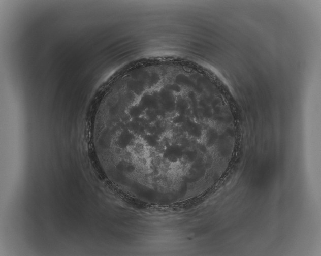 X0000113080871200909041127