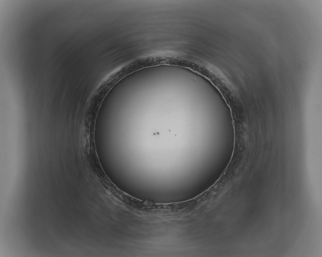 X0000113080872200909041127