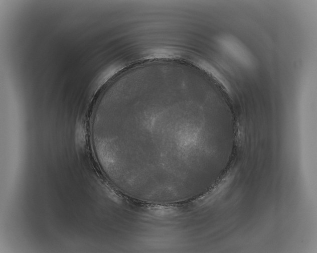 X0000113080874200909041127