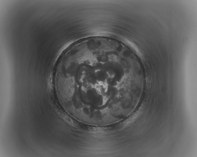 X0000113080875200909041127