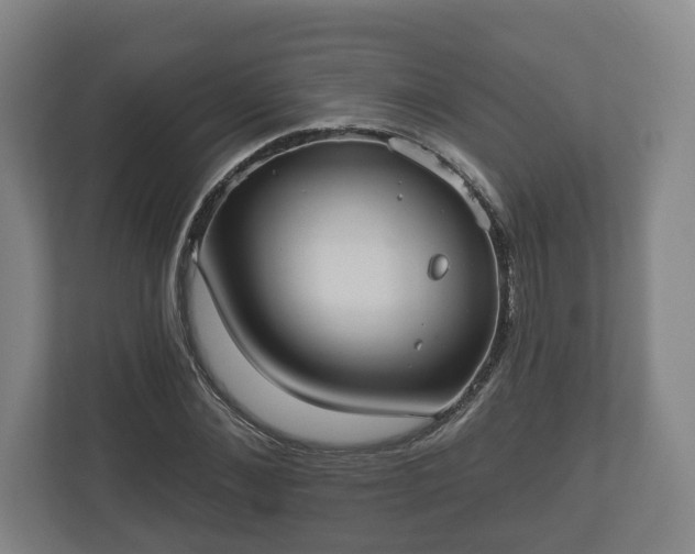 X0000113080876200909041127