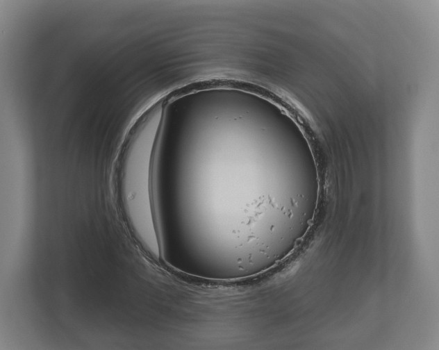 X0000113080877200909041127