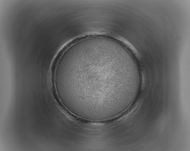 X0000113080878200909041127