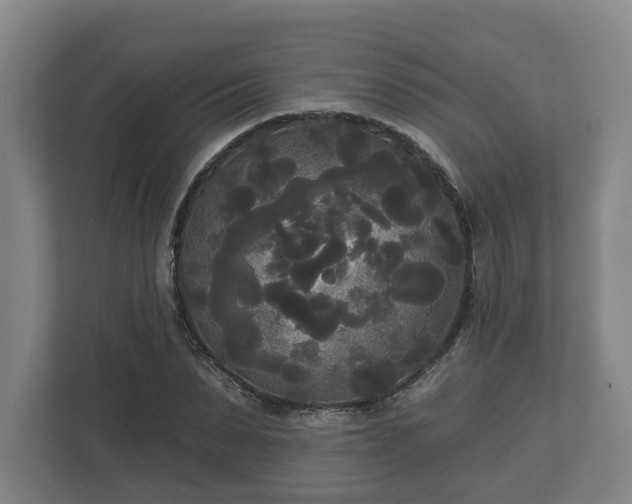 X0000113080879200909041127