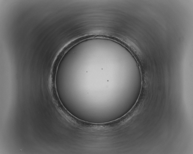 X0000113080880200909041127