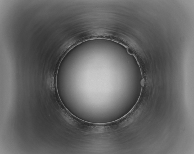 X0000113080881200909041127