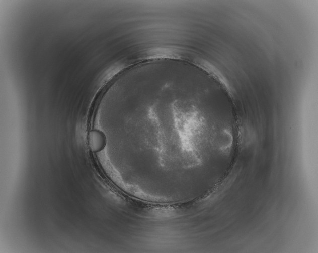 X0000113080882200909041127