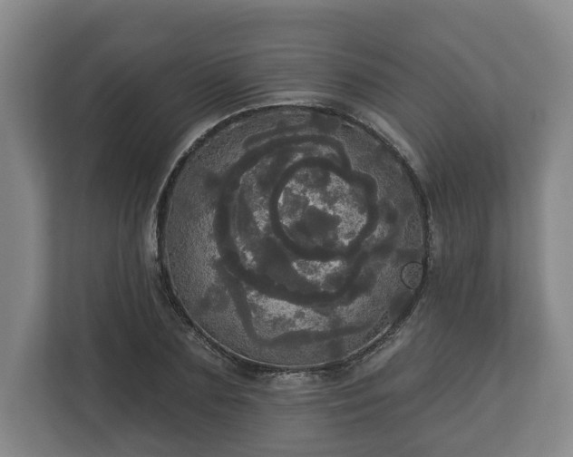 X0000113080883200909041127