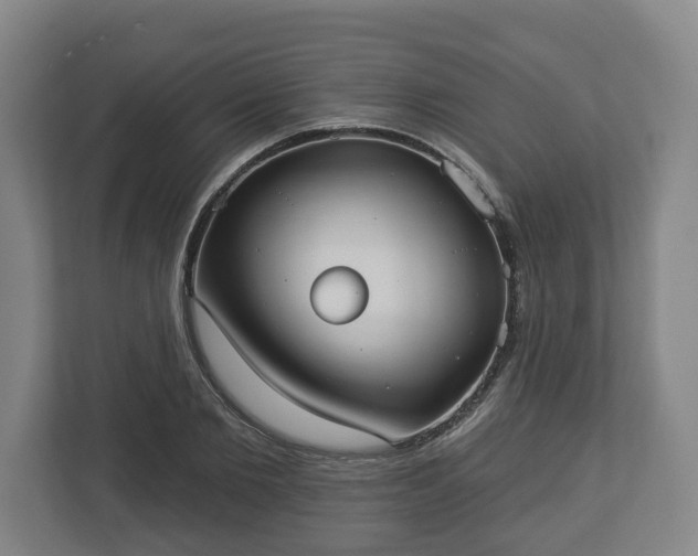 X0000113080885200909041127