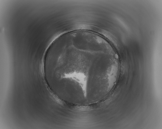 X0000113080886200909041127