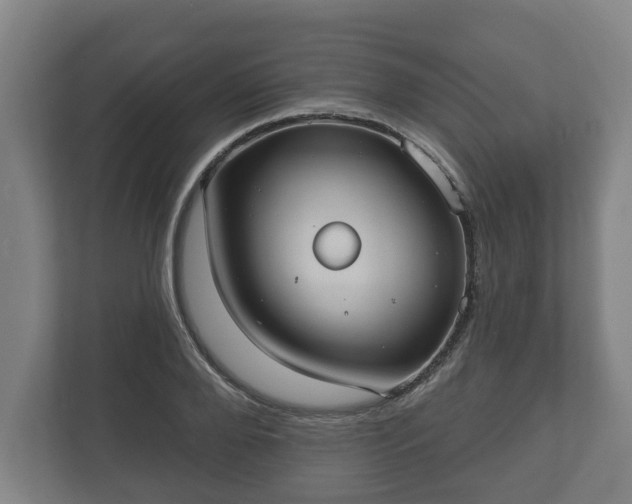 X0000113080888200909041127