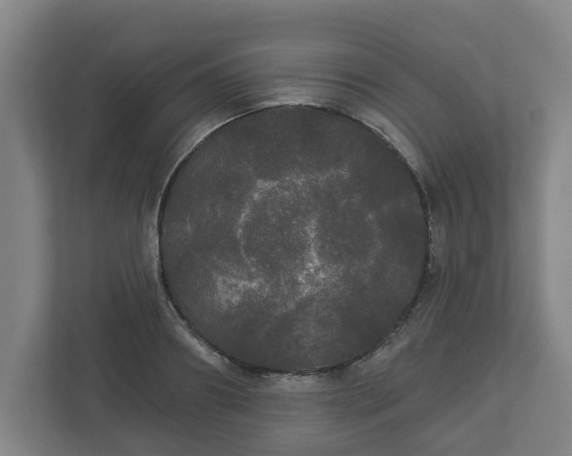 X0000113080890200909041126