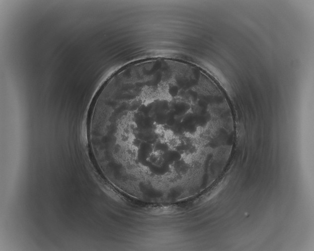 X0000113080891200909041126