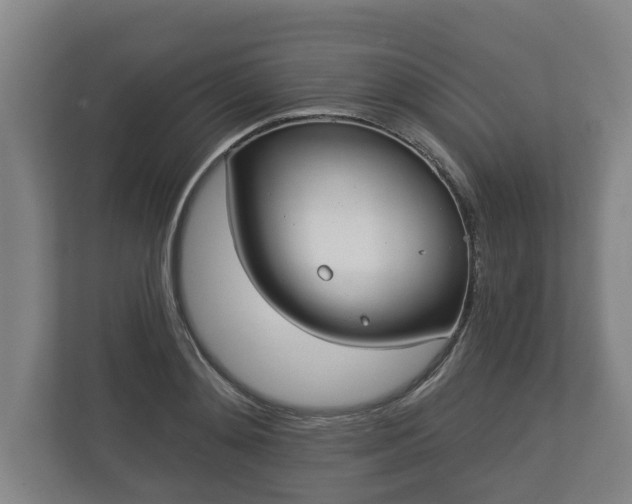 X0000113080892200909041126