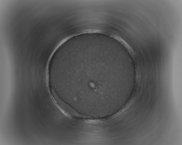 X0000113080894200909041126