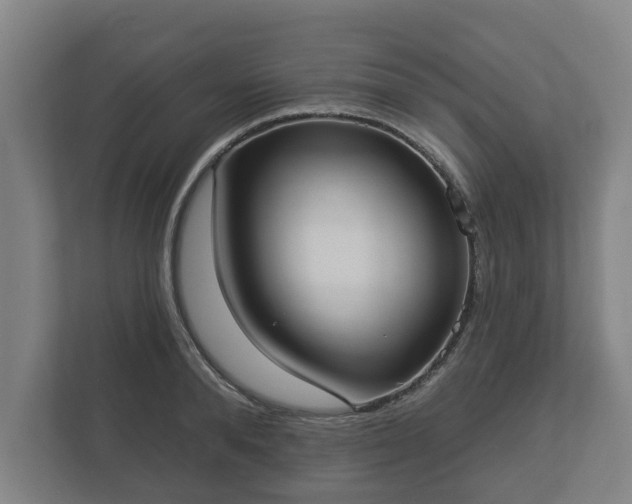 X0000113080896200909041126