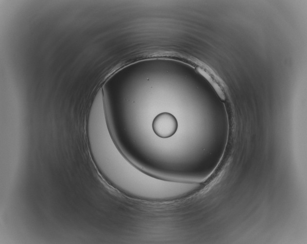 X0000113080897200909041126