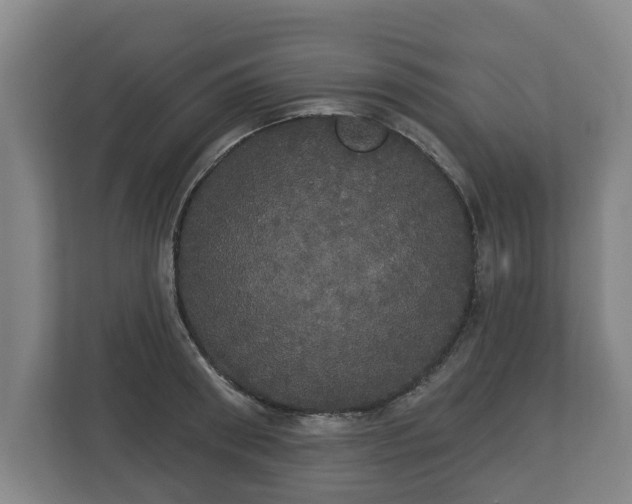 X0000113080898200909041126