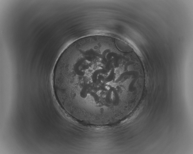 X0000113080899200909041126