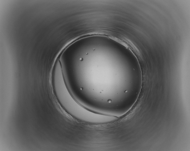 X0000113080900200909041126