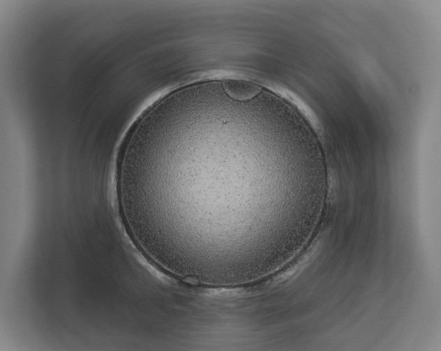 X0000113080902200909041126