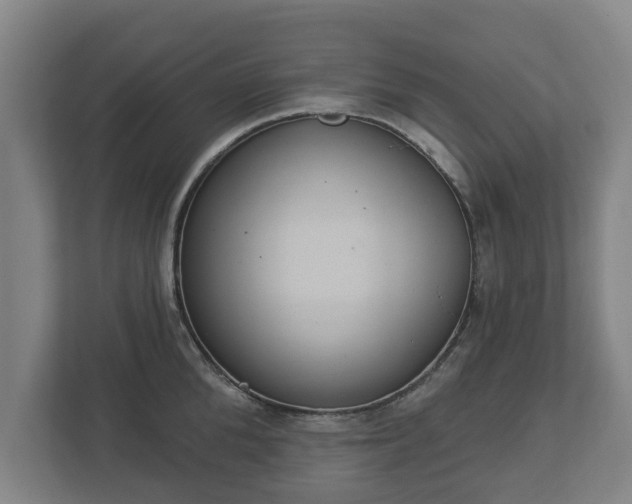 X0000113080904200909041126