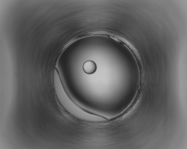 X0000113080905200909041126