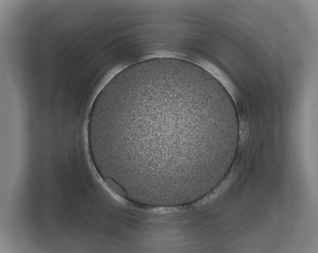 X0000113080906200909041126