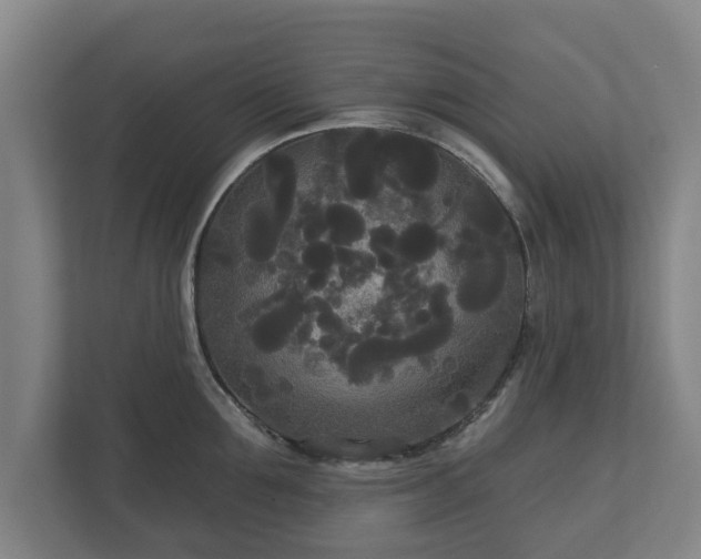 X0000113080907200909041126