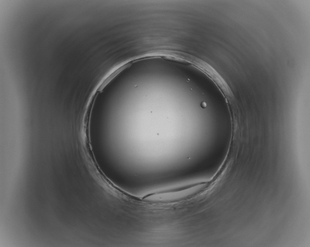 X0000113080908200909041126