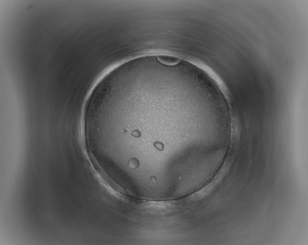 X0000113080910200909041126