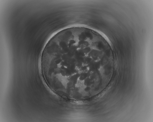 X0000113080911200909041126