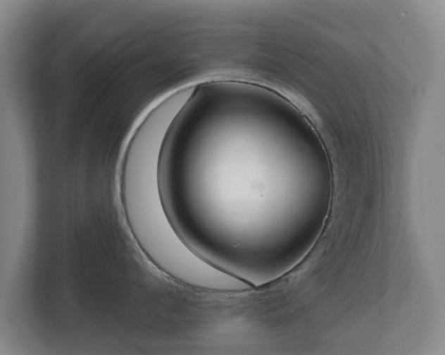 X0000113080912200909041126