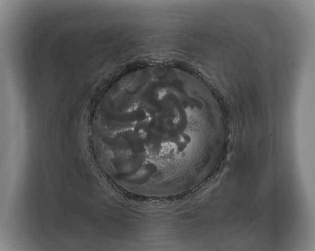 X0000113080913200909041125