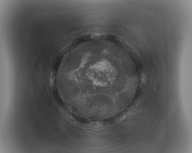 X0000113080914200909041125